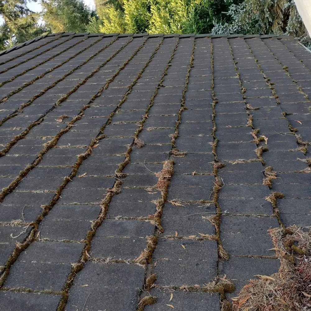 Slide of New Life Roof Cleaning LLC