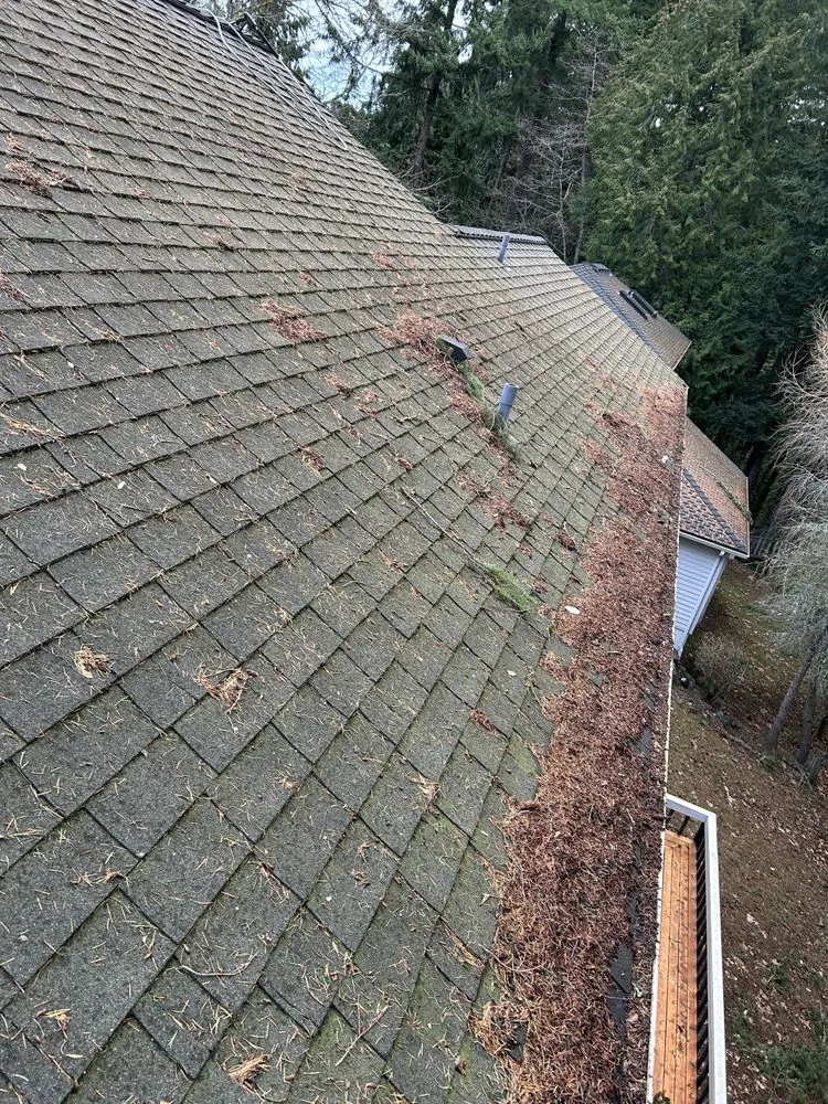 Slide of New Life Roof Cleaning LLC
