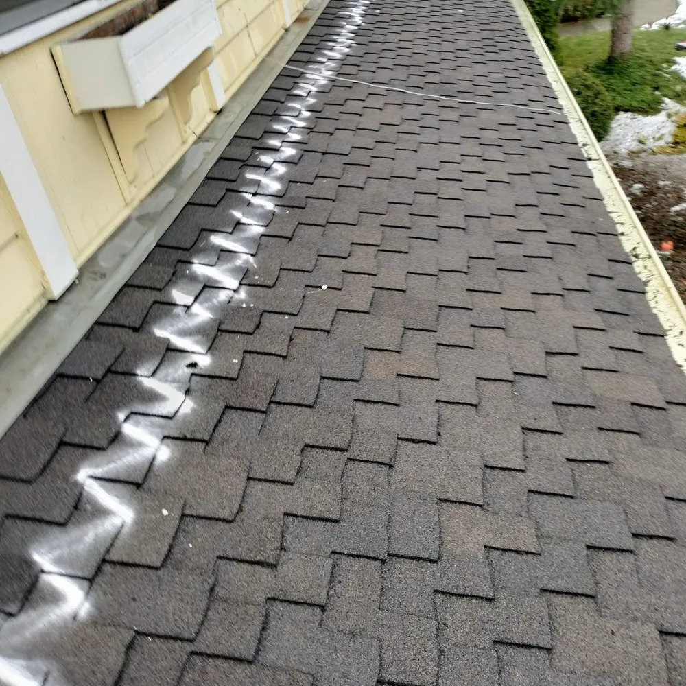 Slide of New Life Roof Cleaning LLC