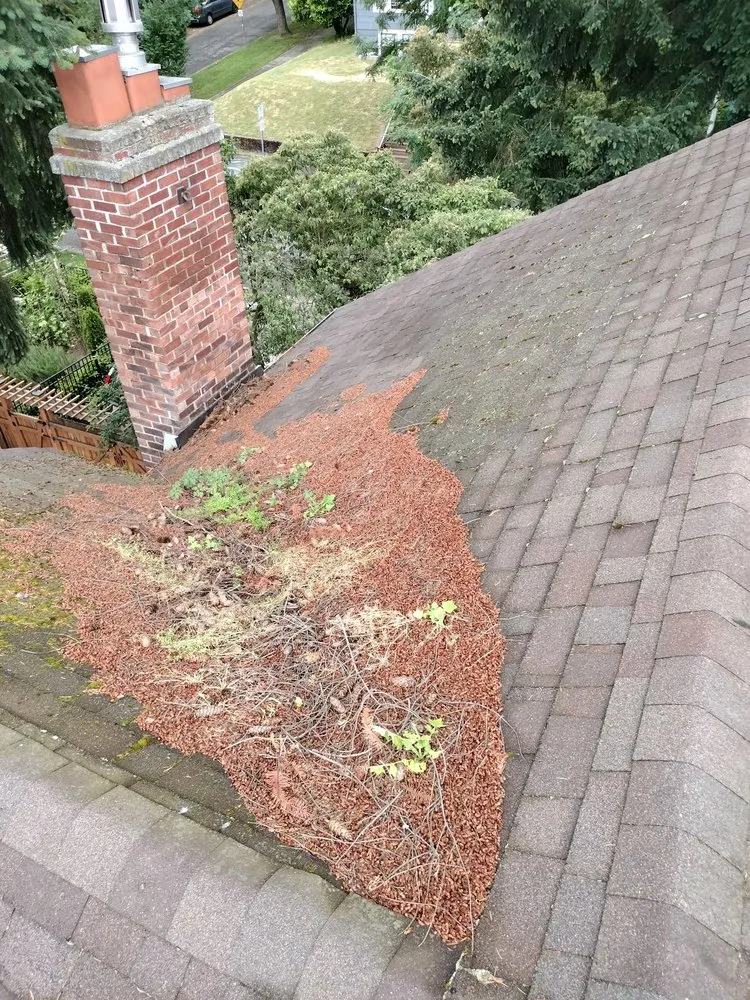 Slide of New Life Roof Cleaning LLC
