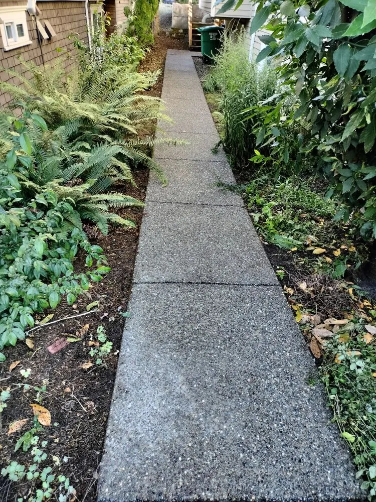 Slide of New Life Roof Cleaning LLC