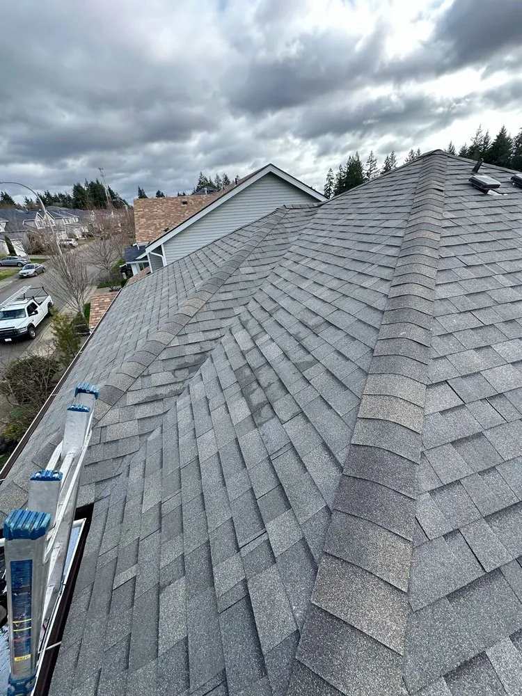 Slide of New Life Roofing