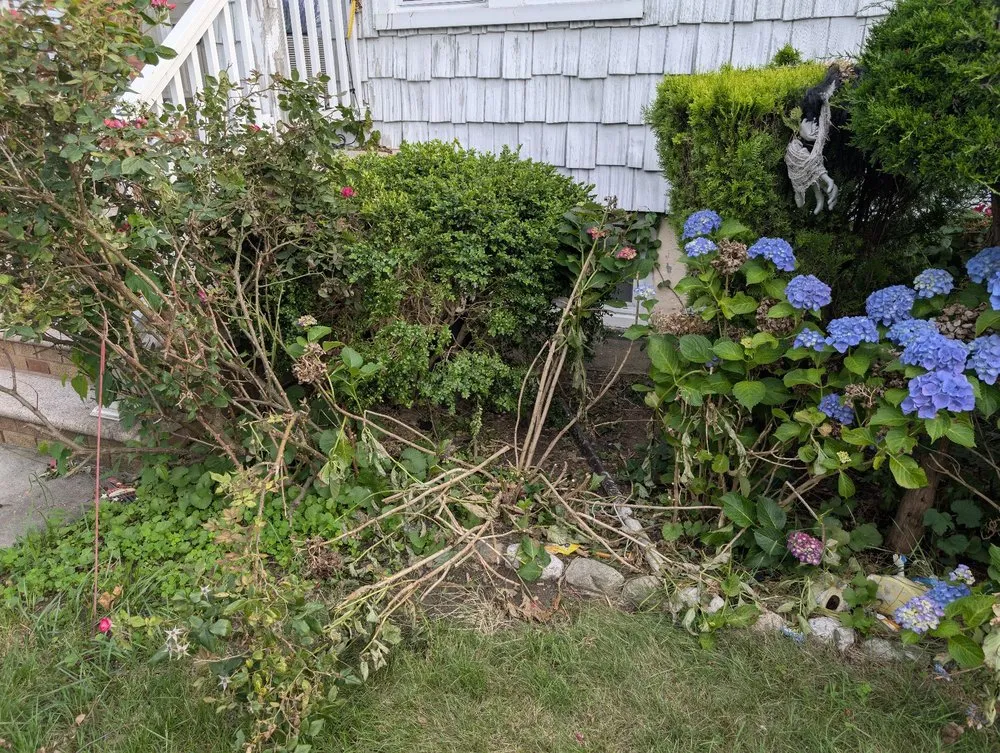 Slide of New Look Roofing