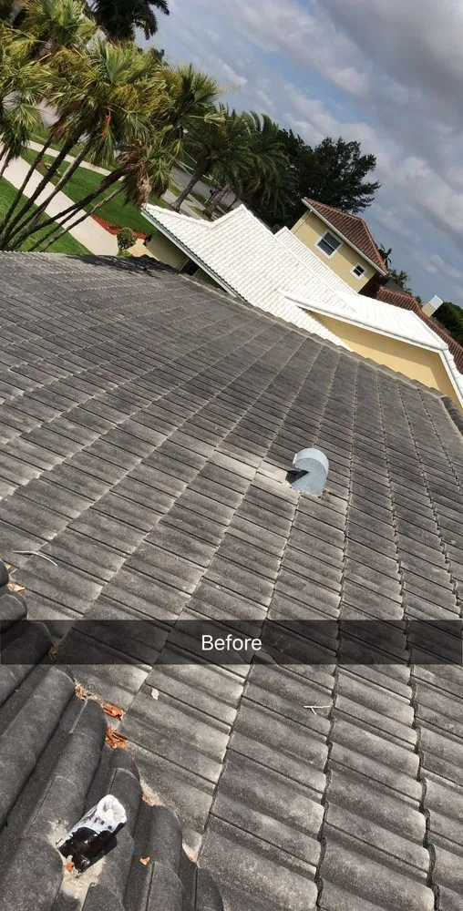 Slide of New Look Solutions