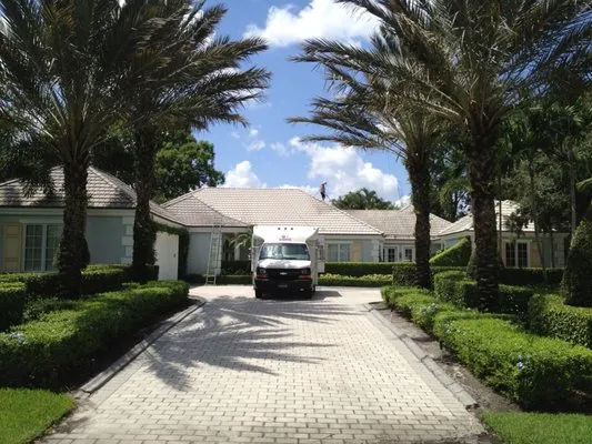 New Look Solutions Logo