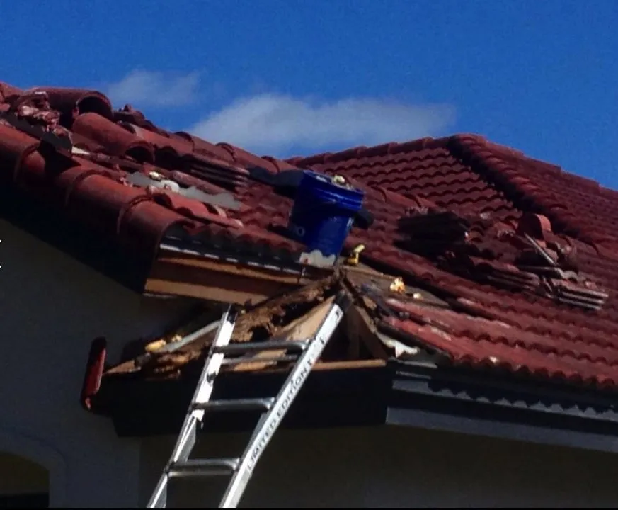 Slide of New Phase Construction