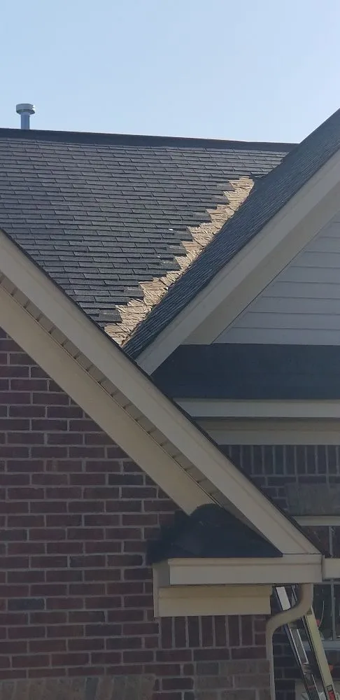 Slide of New Prospective