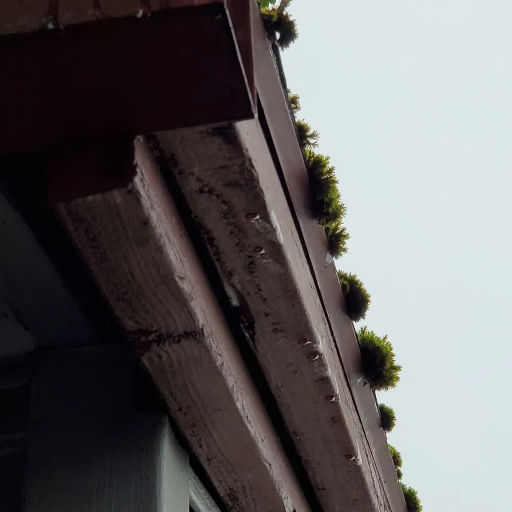 Slide of New Roof Pros