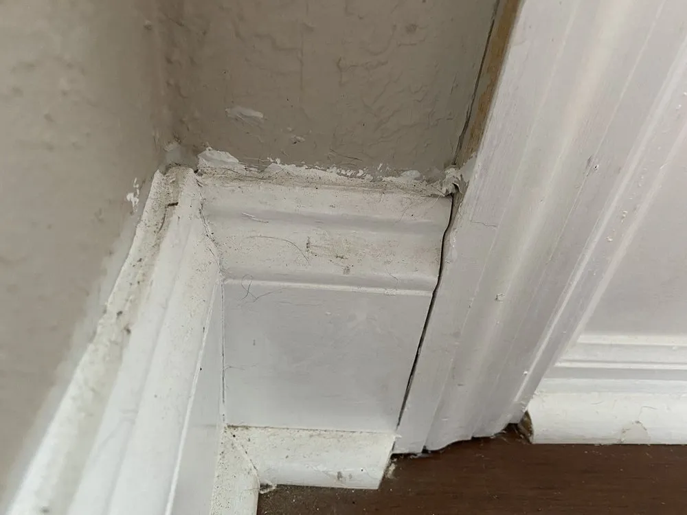 Slide of New Start Remodeling