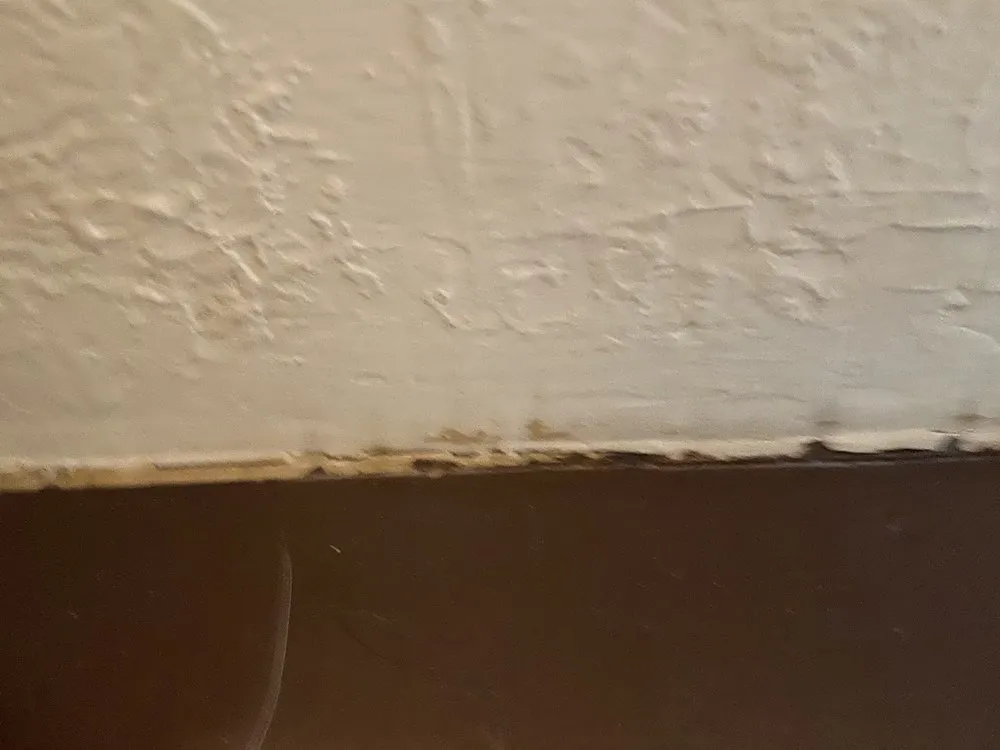 Slide of New Start Remodeling