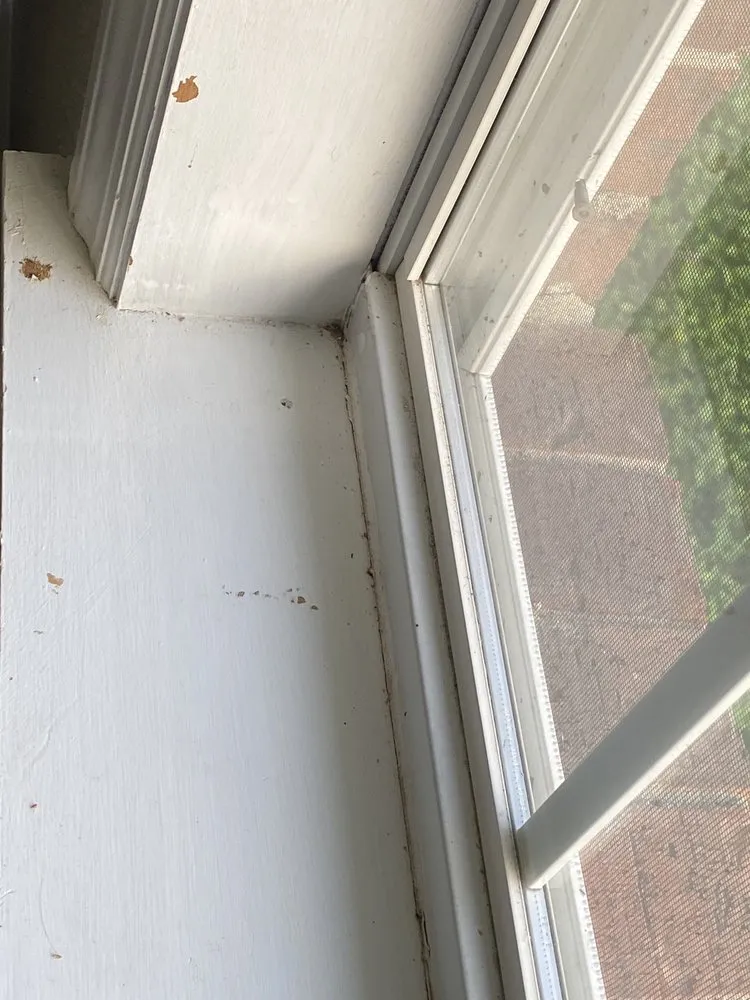 Slide of New Start Remodeling