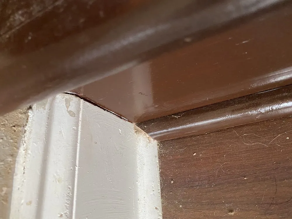 Slide of New Start Remodeling