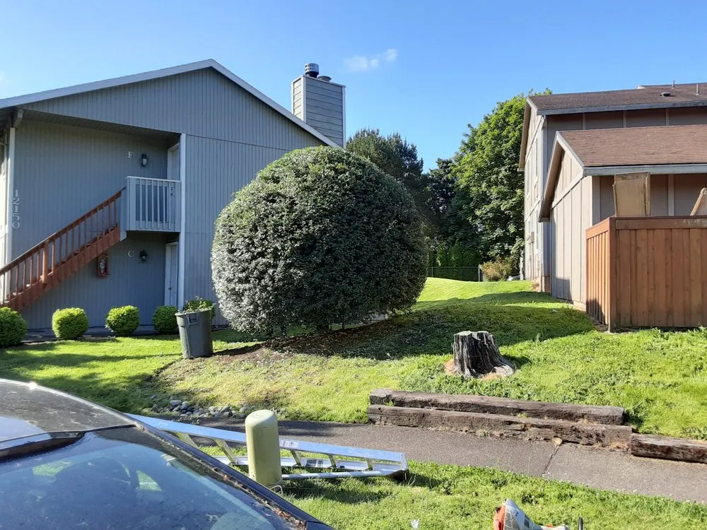 Slide of New Way Construction & Landscape