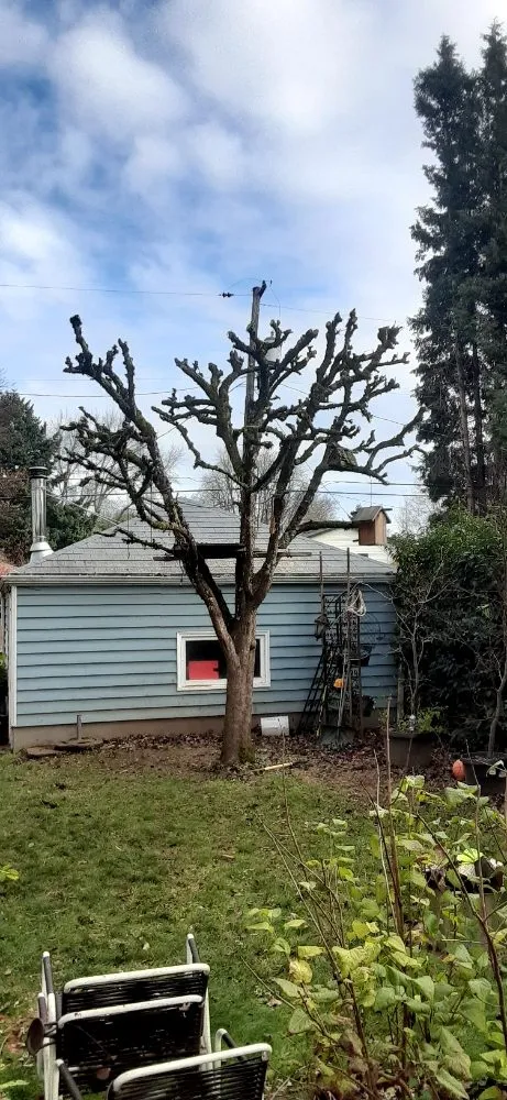 Slide of New Way Construction & Landscape