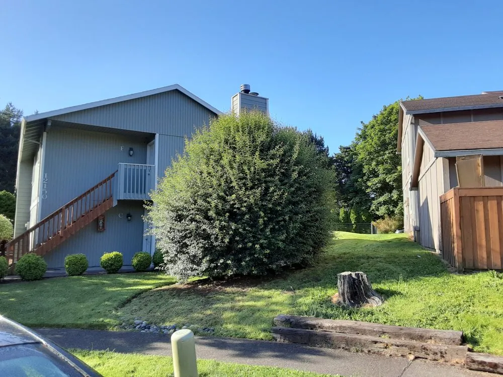 Slide of New Way Construction & Landscape