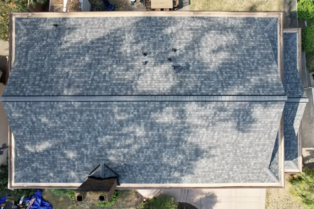 Slide of New World Builders