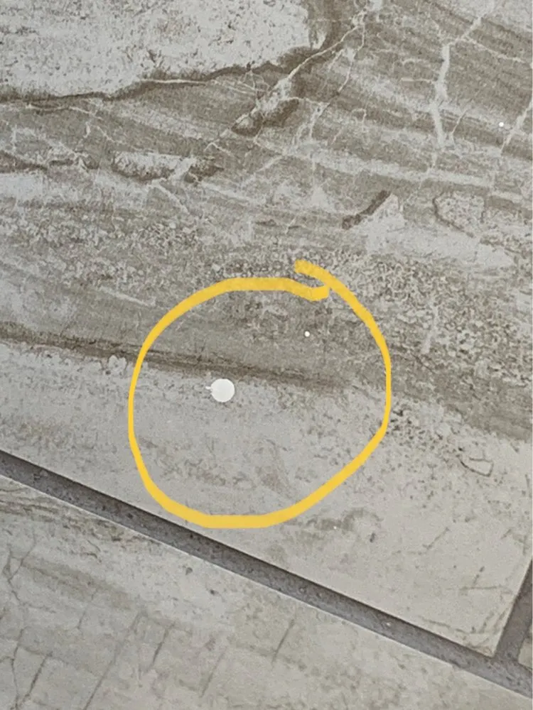 Slide of New World Builders