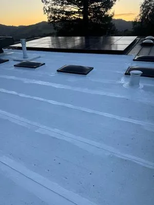 Newhaus Roofing & Construction Logo