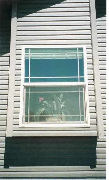 Slide of Newt Construction