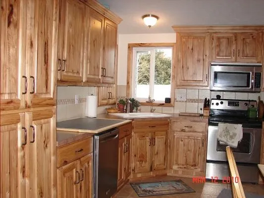 Newt Construction Logo