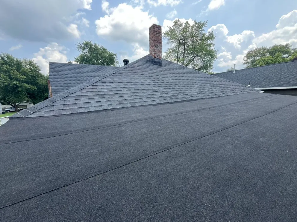 Slide of Newton and Sons II