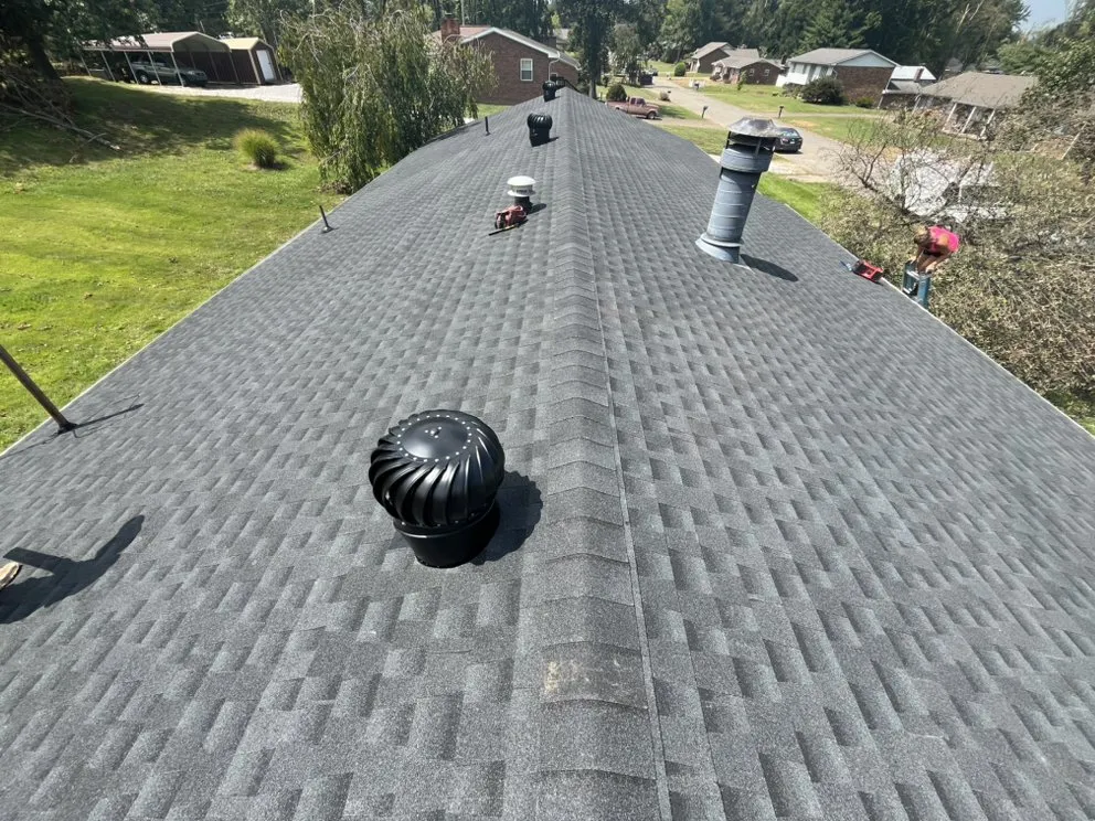 Slide of Newton and Sons II