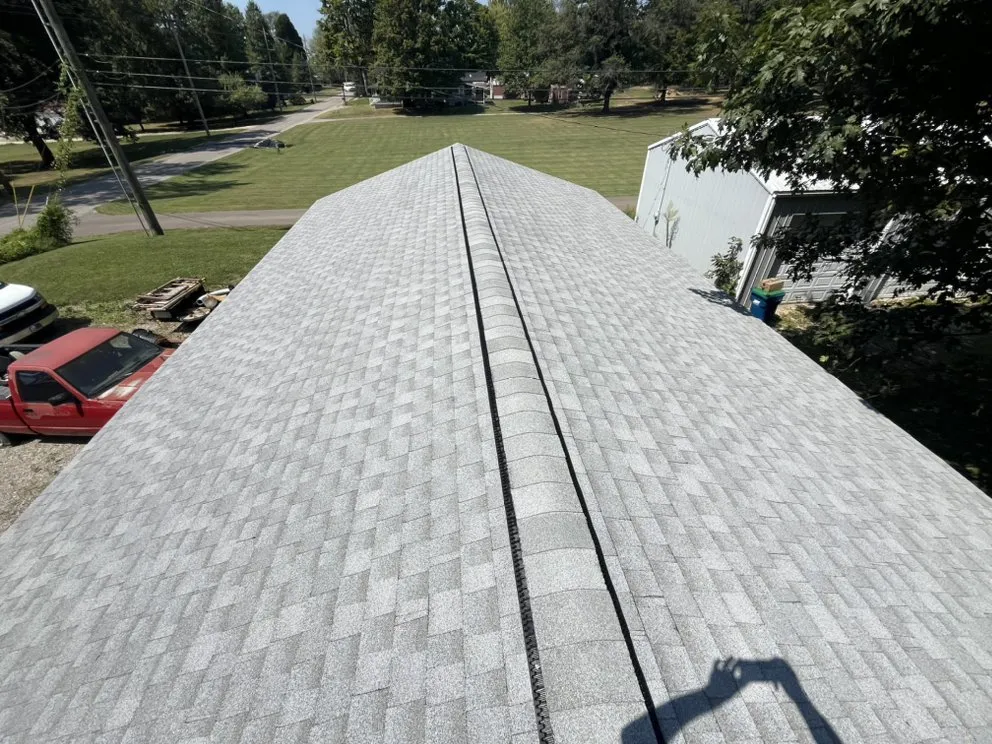 Slide of Newton and Sons II