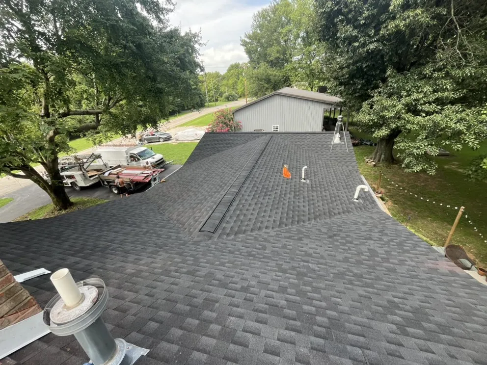 Slide of Newton and Sons II