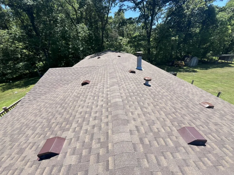 Slide of Newton and Sons II