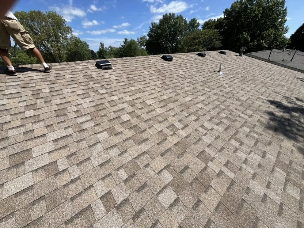 Slide of Newton and Sons II