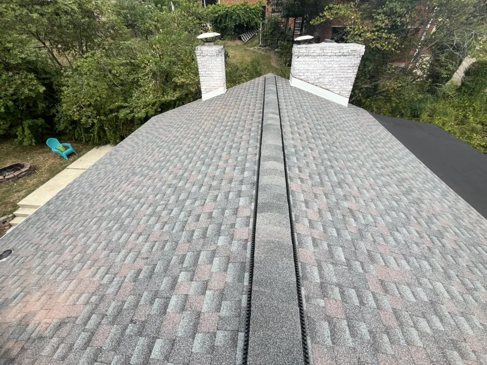 Slide of Newton and Sons II