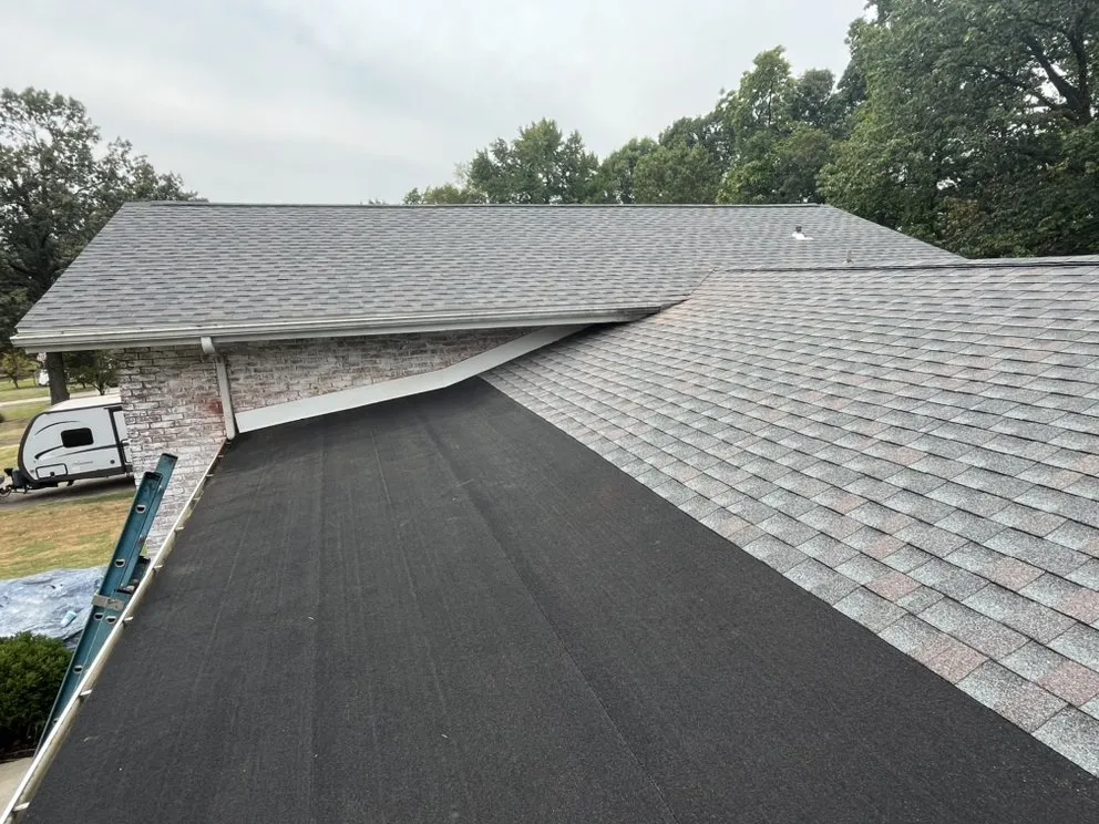 Slide of Newton and Sons II