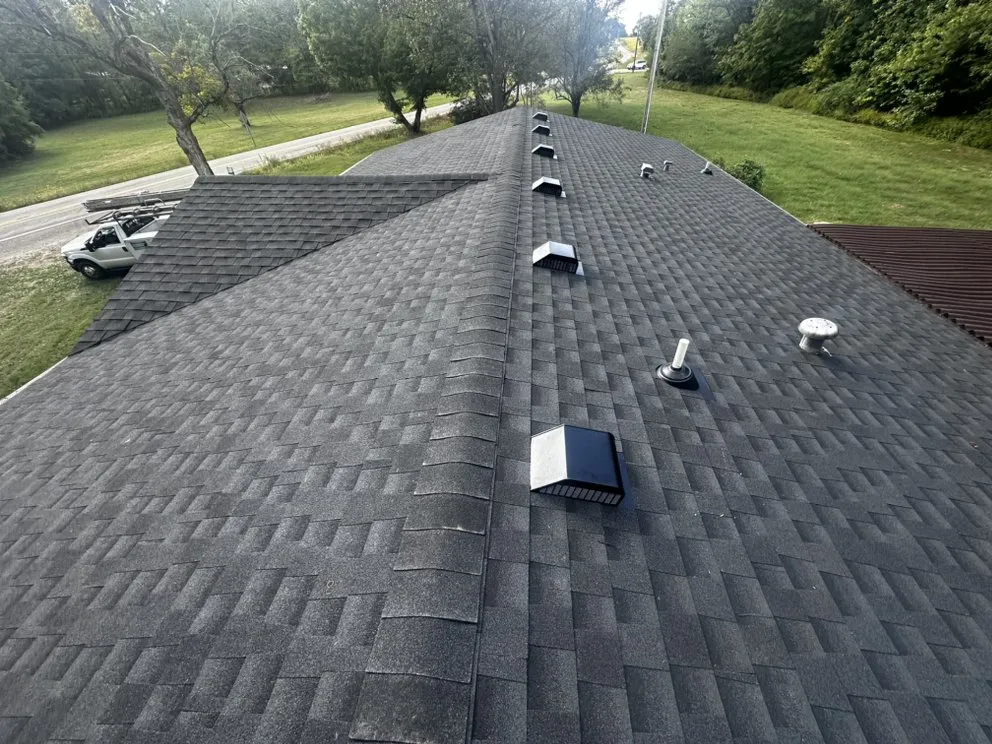 Slide of Newton and Sons II