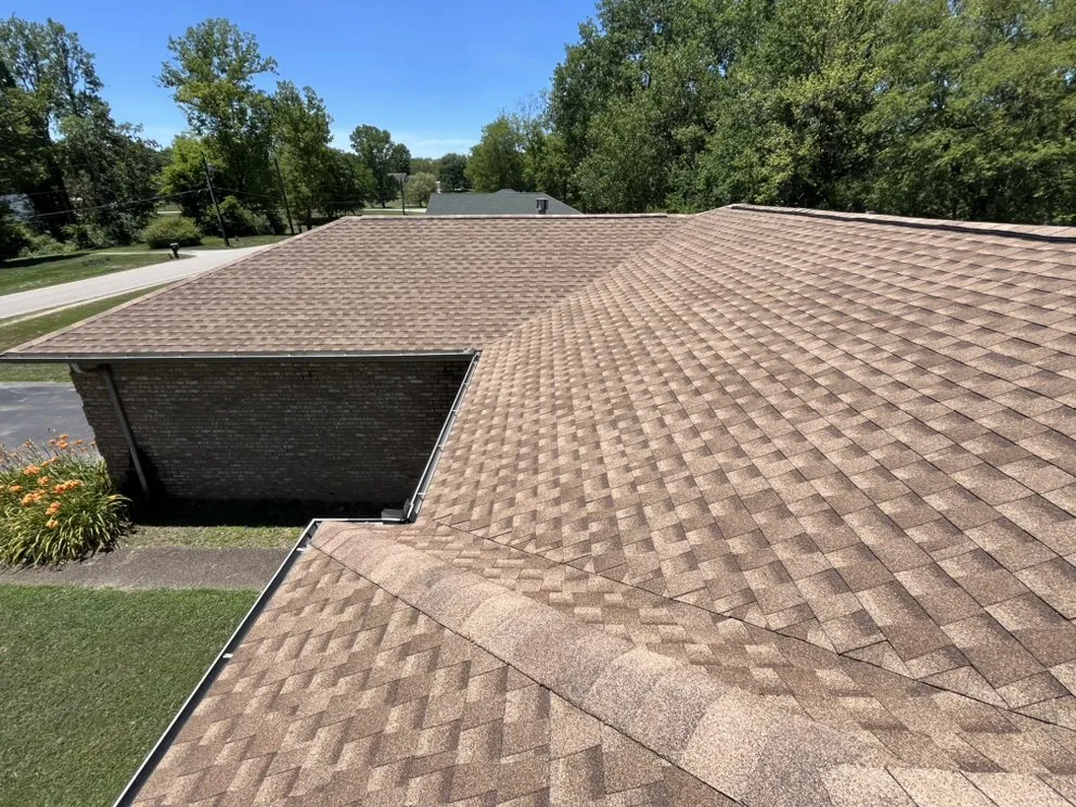 Slide of Newton and Sons II