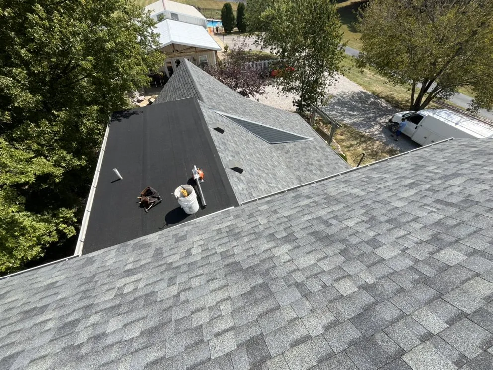 Slide of Newton and Sons II