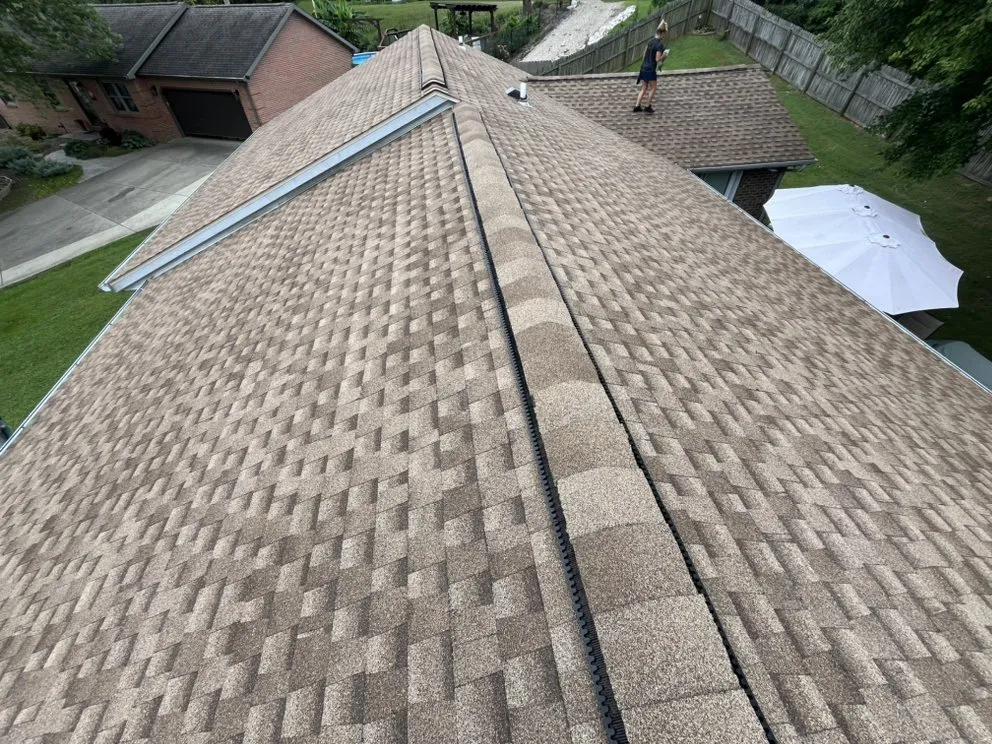 Slide of Newton and Sons II