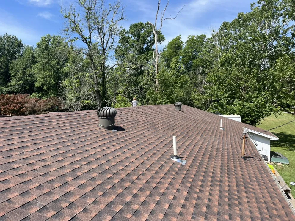 Slide of Newton and Sons II