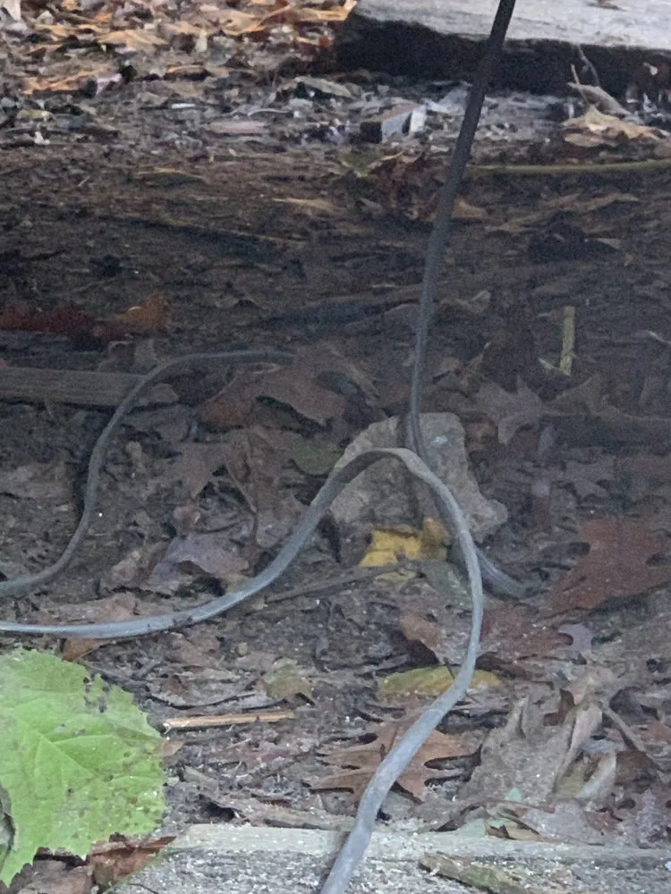 Slide of NexGen Exterior Home Remodeling