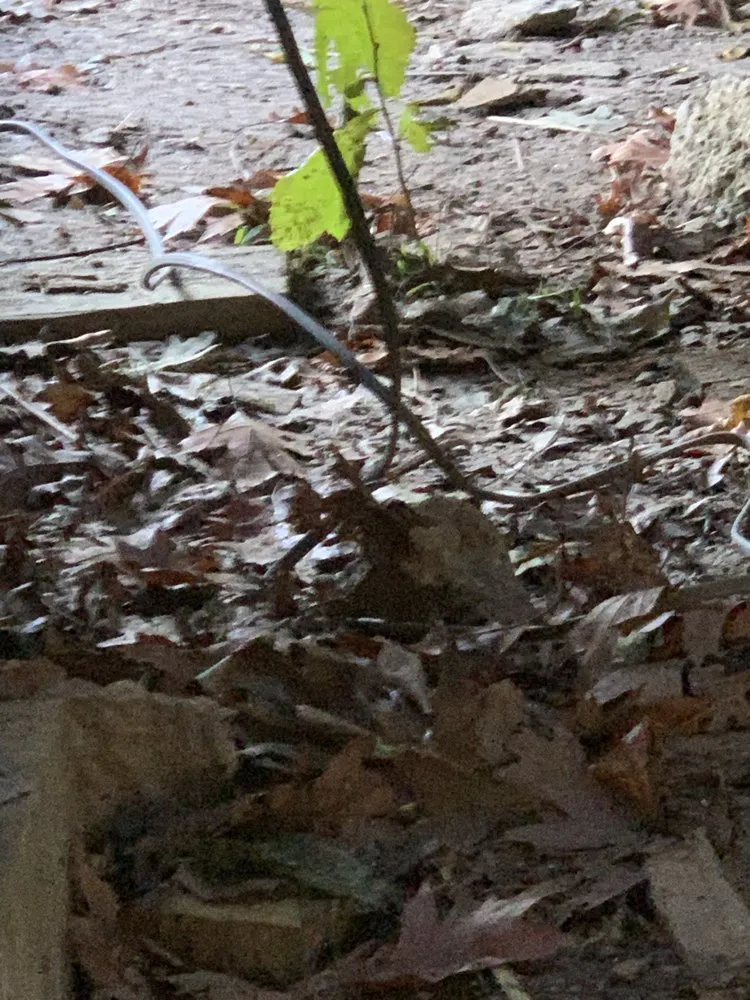 Slide of NexGen Exterior Home Remodeling