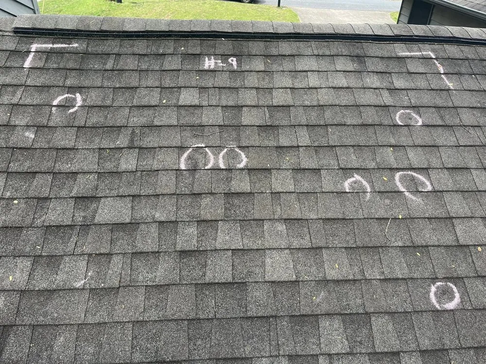 Slide of Nexgen Roofing & Contracting