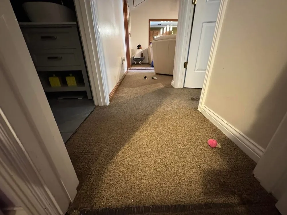 Slide of Next Caliber Construction