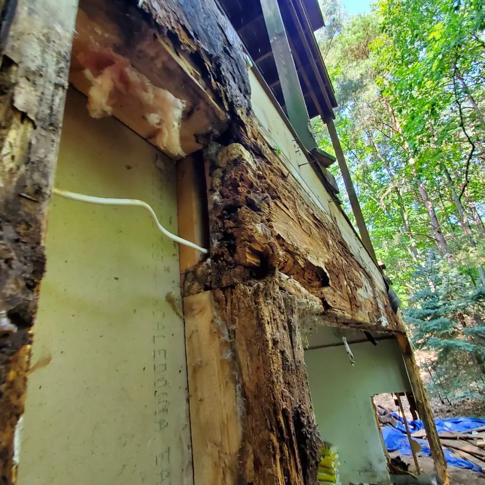 Slide of Next Day Construction & Roofing