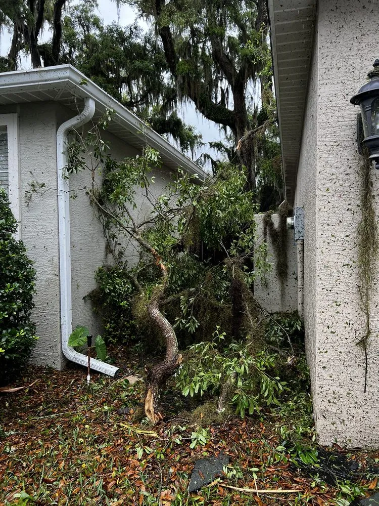 Emergency shingle roofing service in Summerfield, FL - Next Dimension Construction