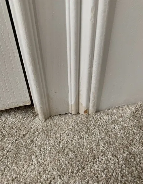 Slide of Next Generation Construction