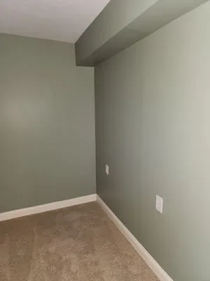 Next Level Renovations & Designs Logo