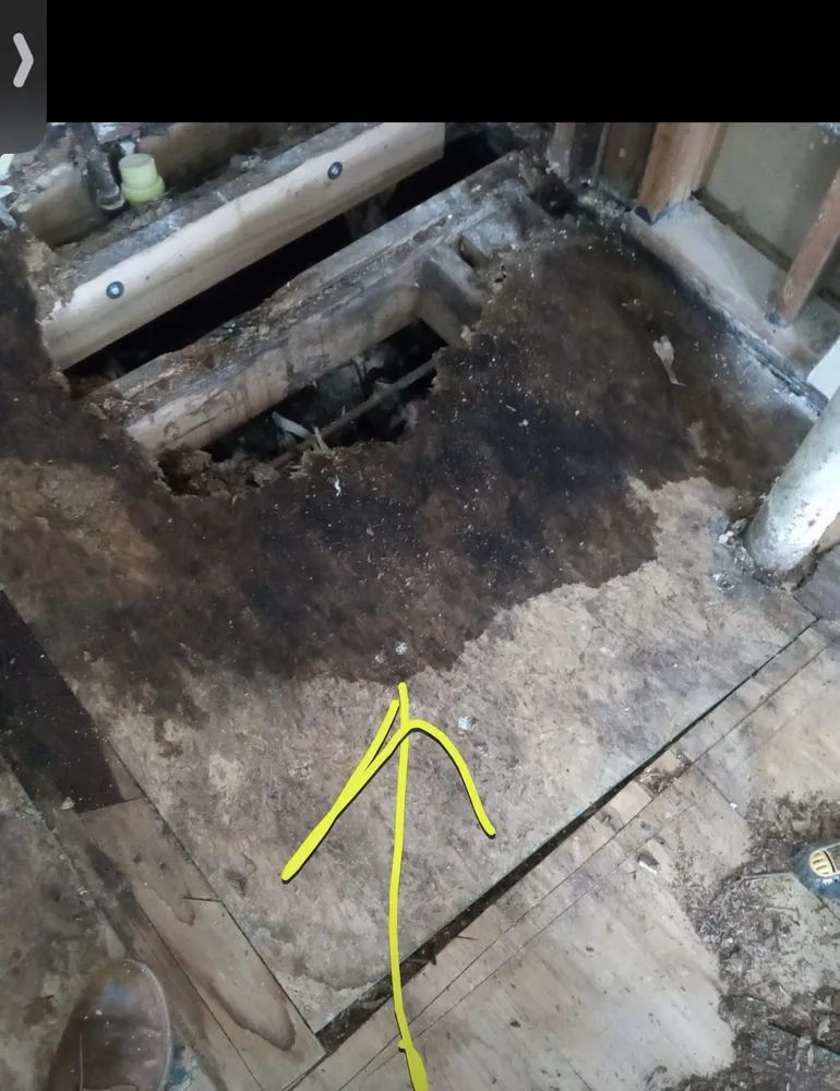 Slide of Next Level Renovations