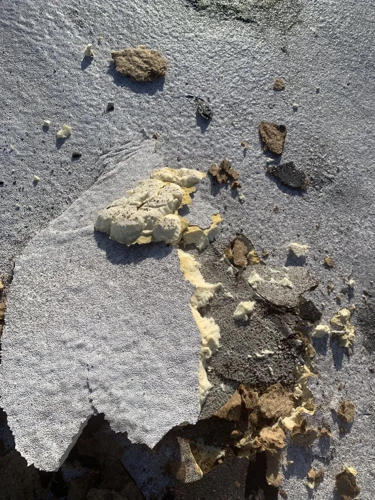 Slide of Next Level Roof Maintenance