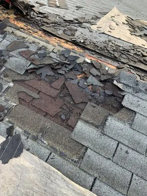 Next Level Roof Maintenance