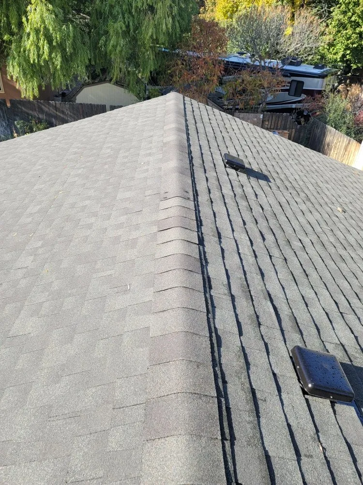 Slide of Next Level Roofing and Repair