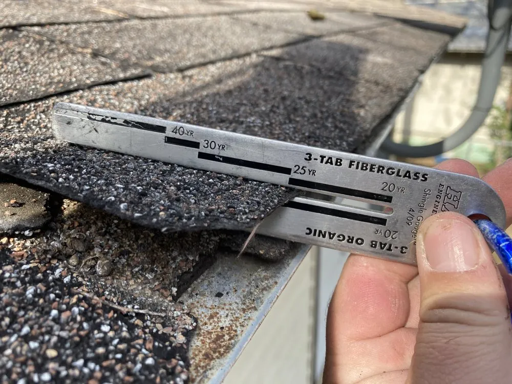 Slide of Next Nail Construction